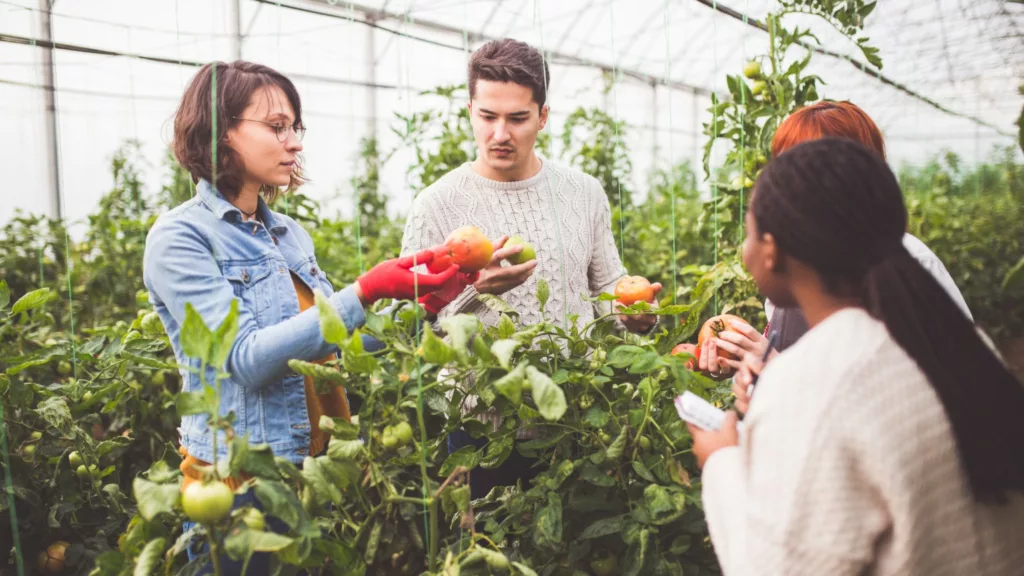 Food Engineering, BSc Program at The University of Debrecen